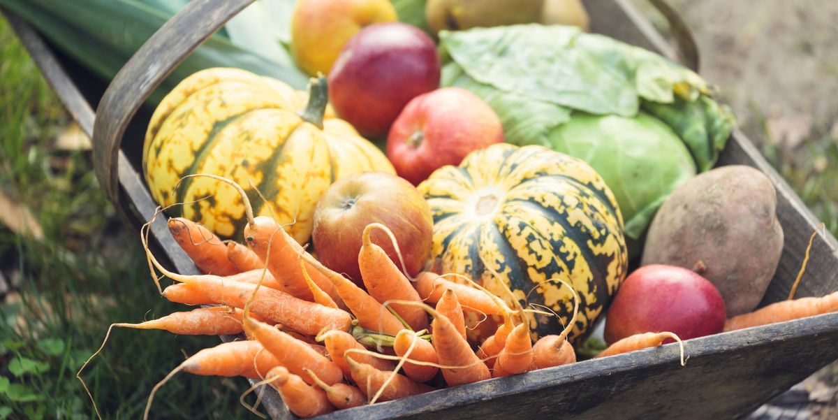 fall vegetables in basket