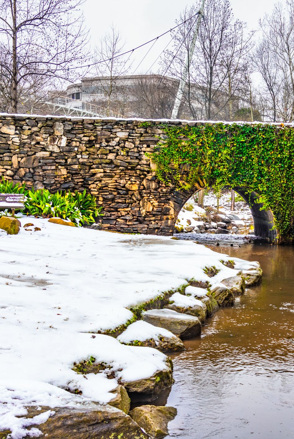 falls park and reedy river in greenville, sc, usa