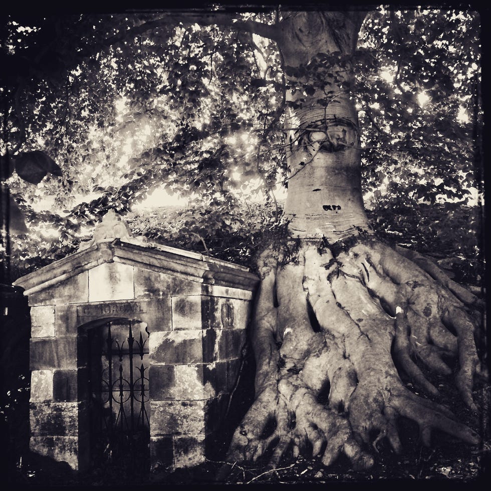 Brooklyn's Green-Wood cemetery