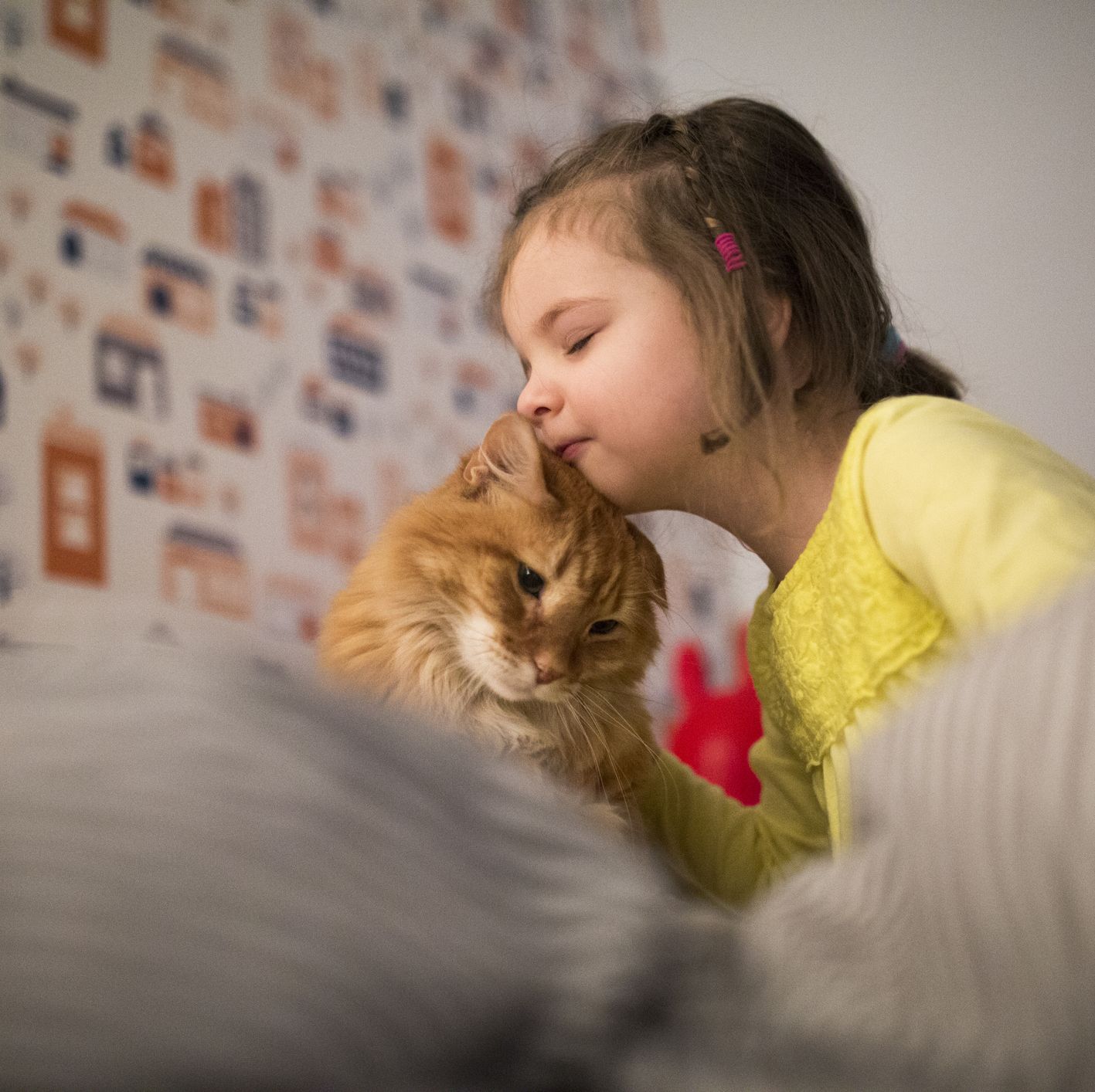 The Cutest Kid-Friendly Cat Breeds You'll Instantly Fall in Love With