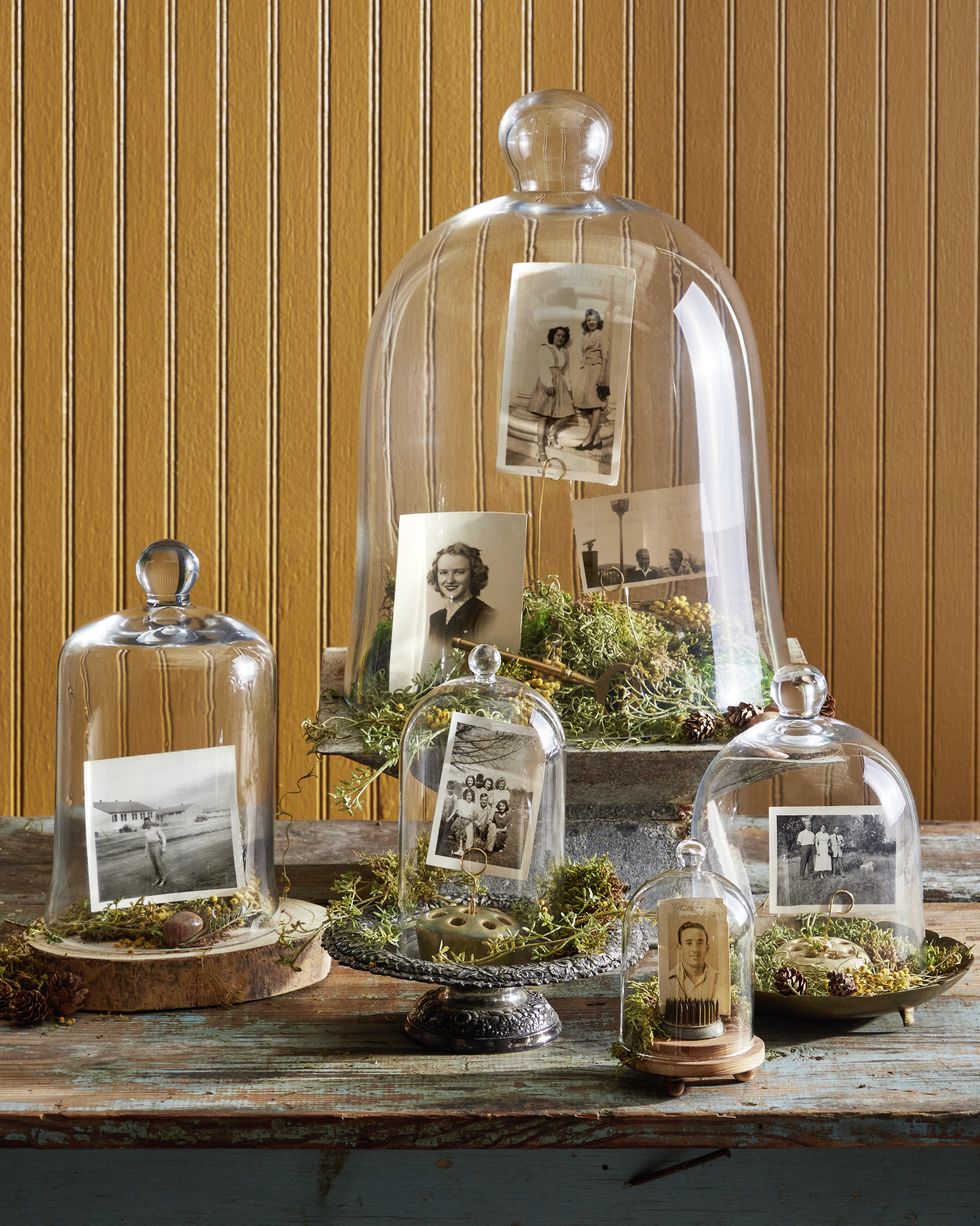 family photos displayed in glass cloches