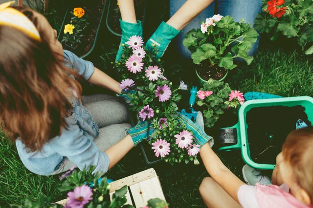 family planting flowers together