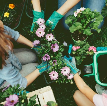 family planting flowers together