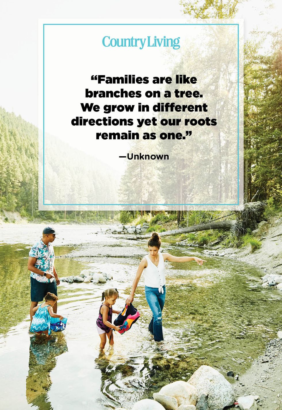 families are like branches on a tree we grow in different directions yet our roots remain as one