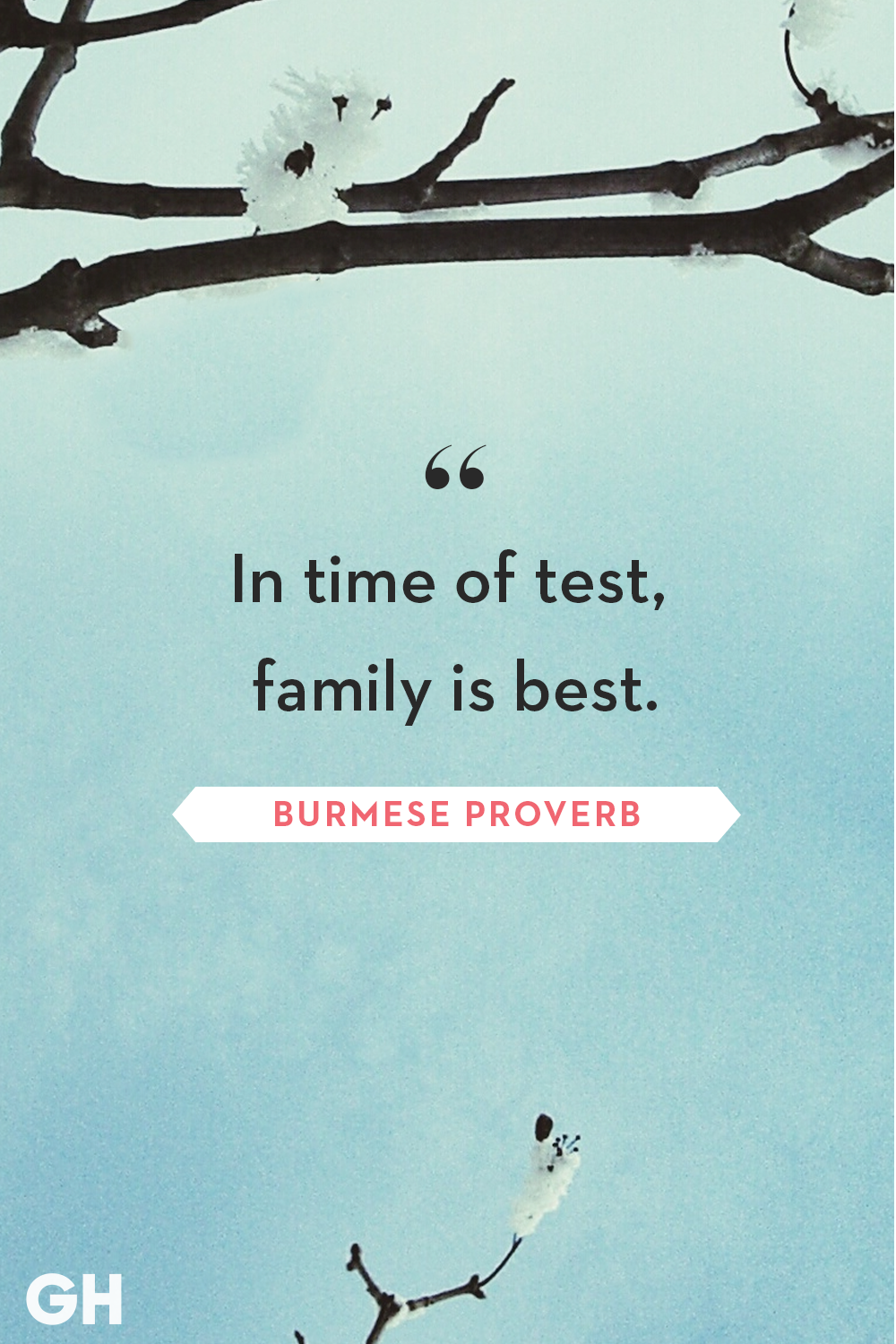 85 Best Family Quotes - Cute Sayings About Families