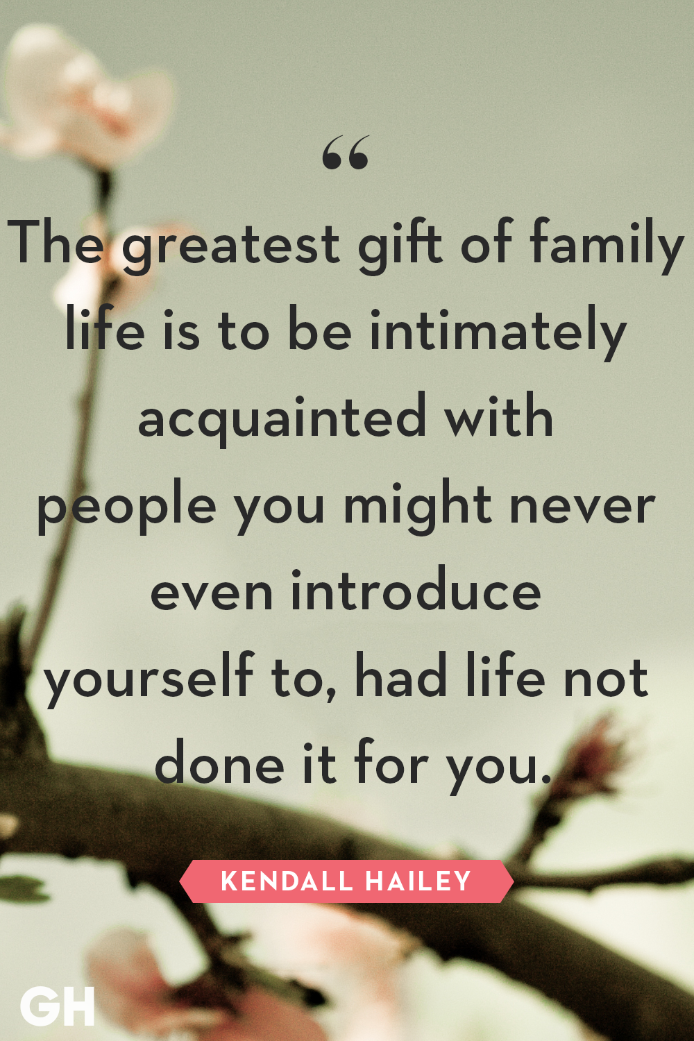 85 Best Family Quotes - Cute Sayings About Families