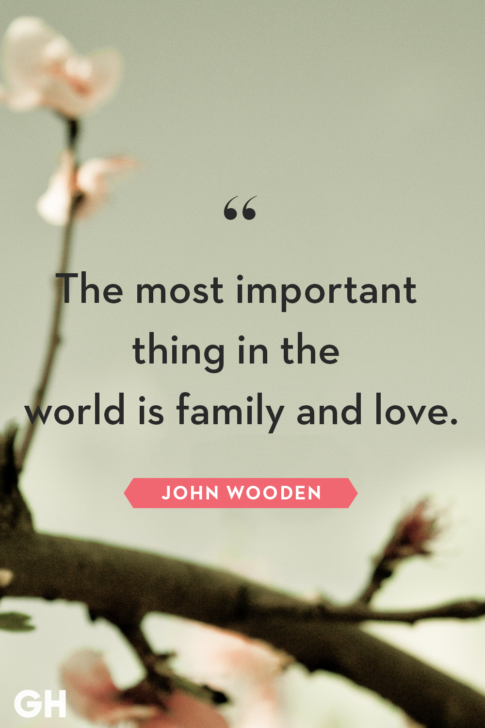 love family and friends quotes