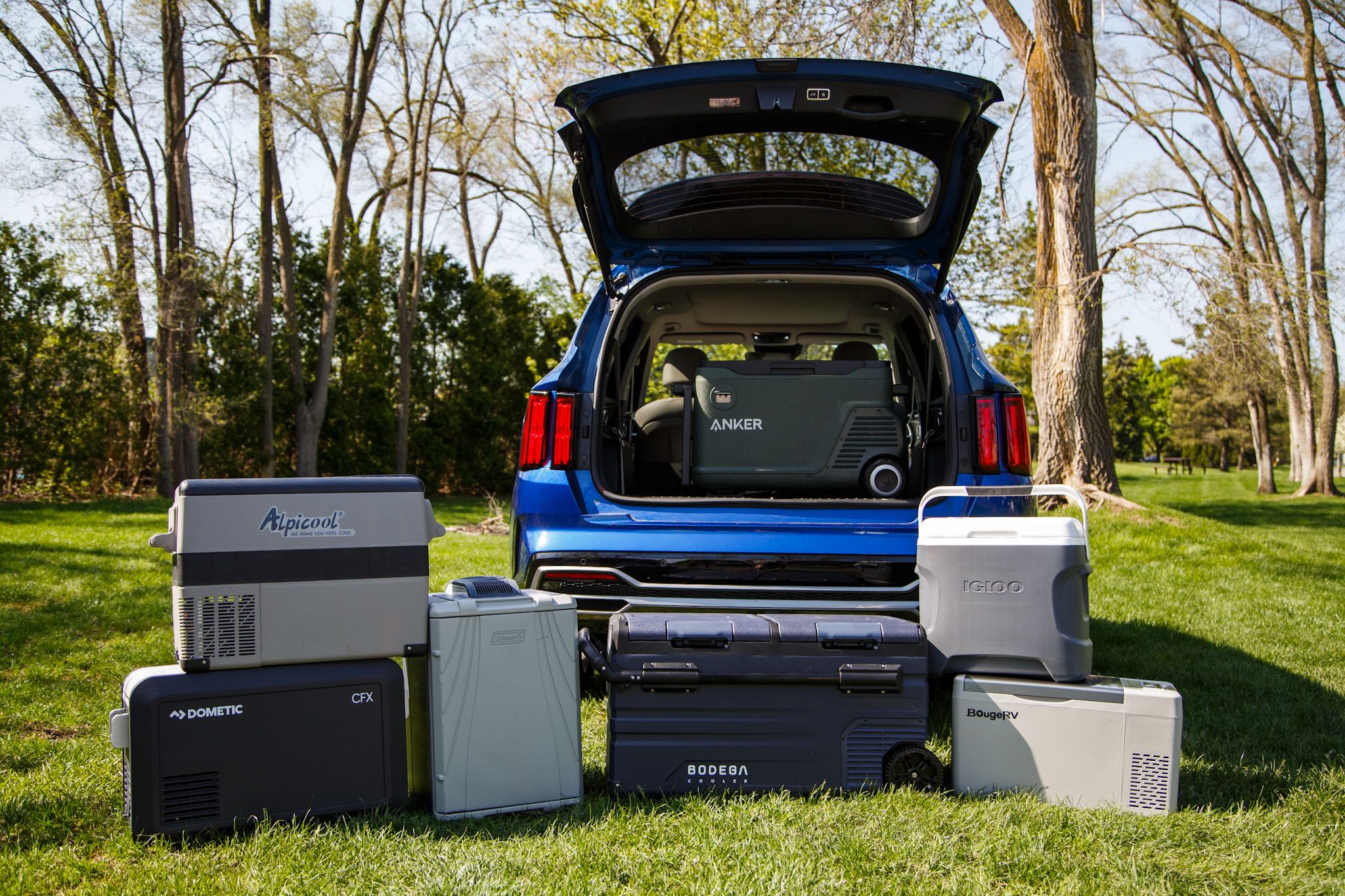 Electric cooler for store car