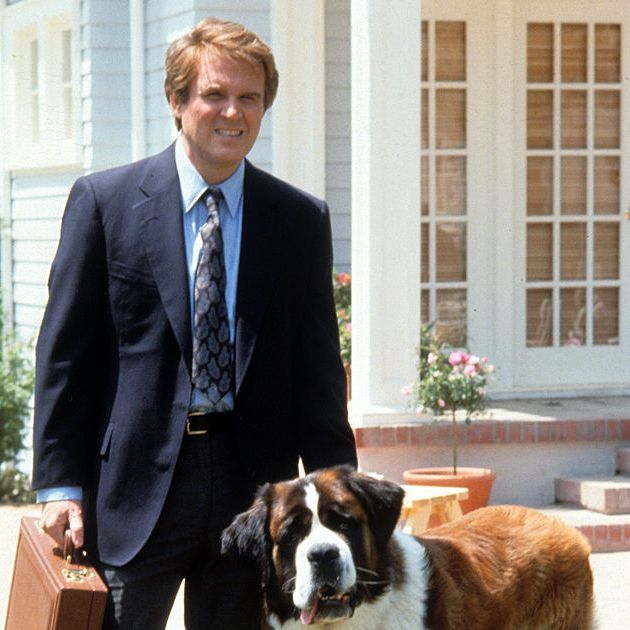 It's Entertainment: Dogs in films that we have loved