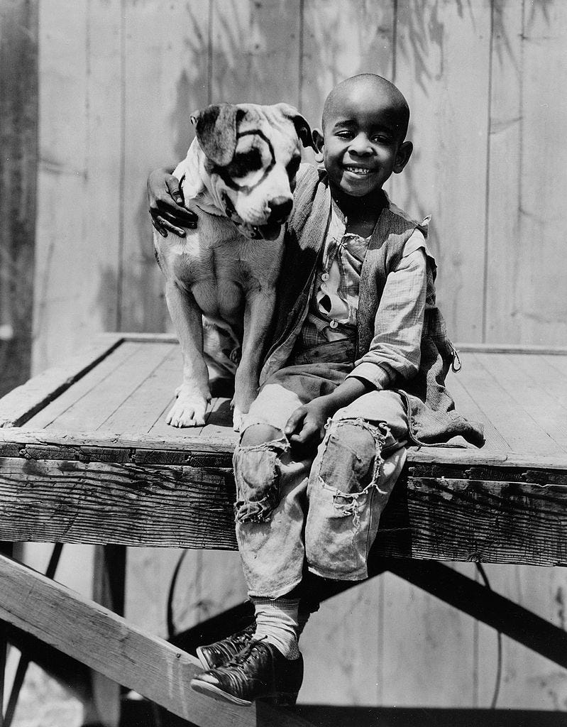 Famous Dogs from Movies - Petey in “The Little Rascals”