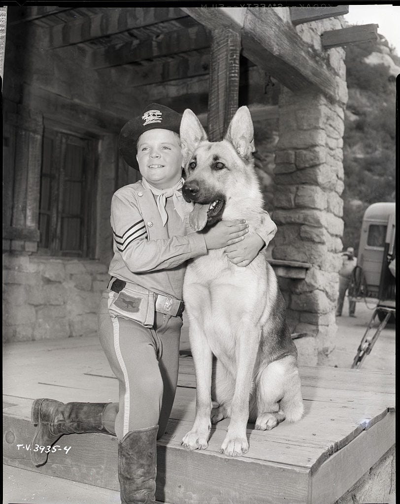 Famous Dogs from Movies - Rin Tin Tin in “The Adventures of Rin Tin Tin”