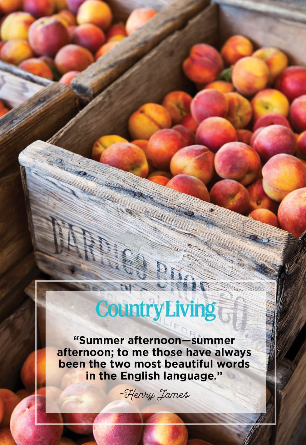 crates of peaches and a quote from henry james
