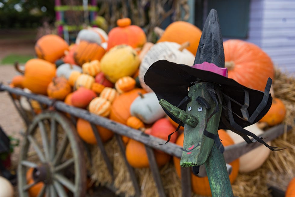65-best-witch-names-evil-and-funny-witch-names