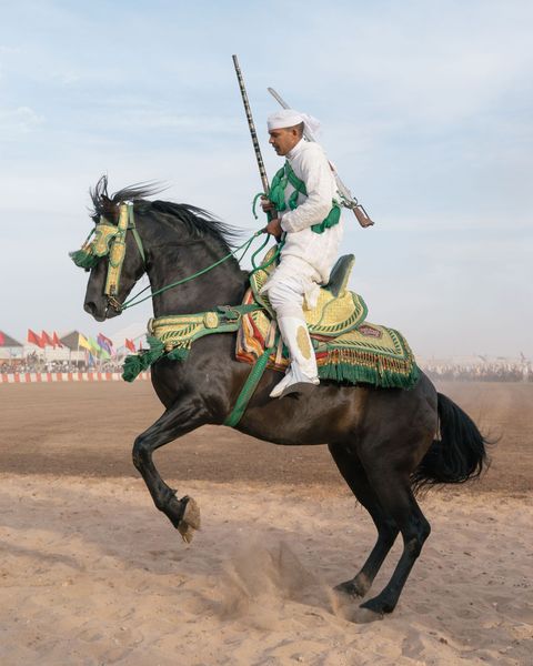 Na de opvoering van zijn team op het hoofdveld van het festival houdt een ruiter zijn paard in toom