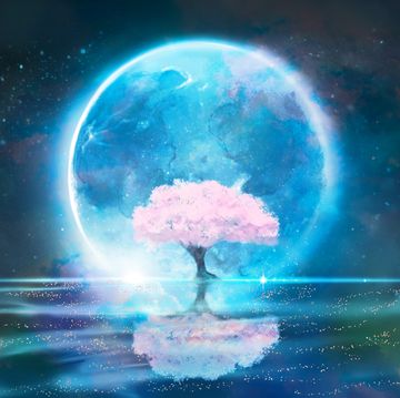 fantasy background scenery illustration of blue full moon and cherry blossom trees in full bloom on the surface of water