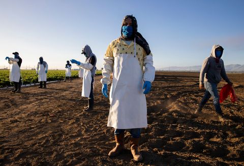 immigrant agricultural workers critical to us food security amid covid 19 outbreak