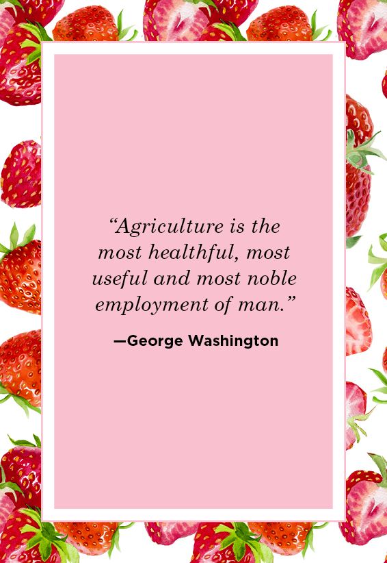 Farm Quotes George Washington