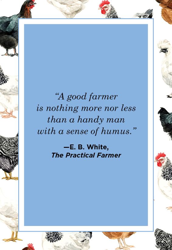 Farm Quotes E. B. White