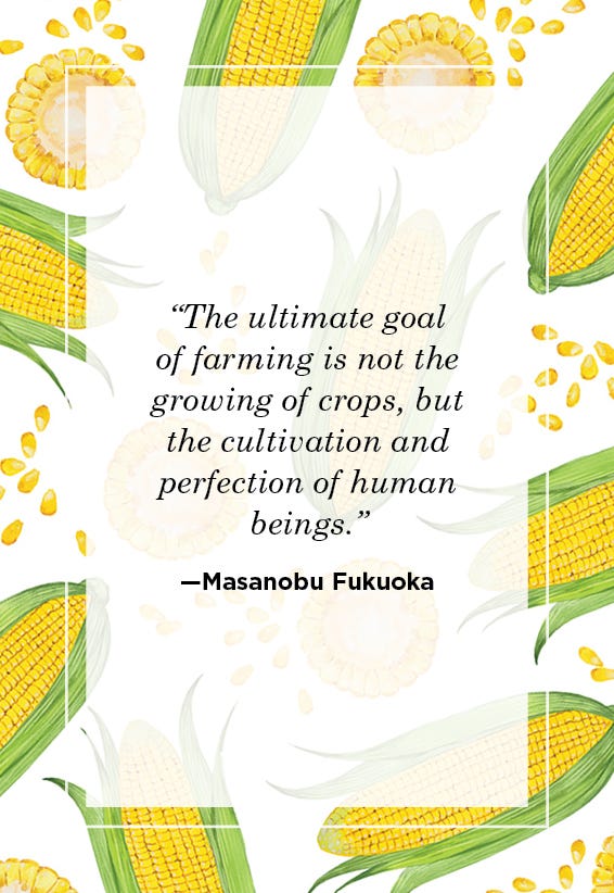 Farm Quotes Masanobu Fukuoka