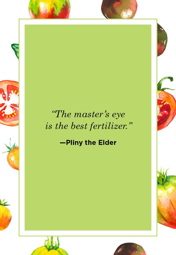 Farm Quotes Pliny the Elder