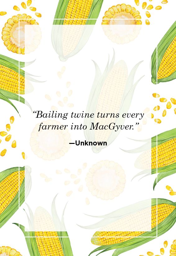 Farm Quotes Unknown