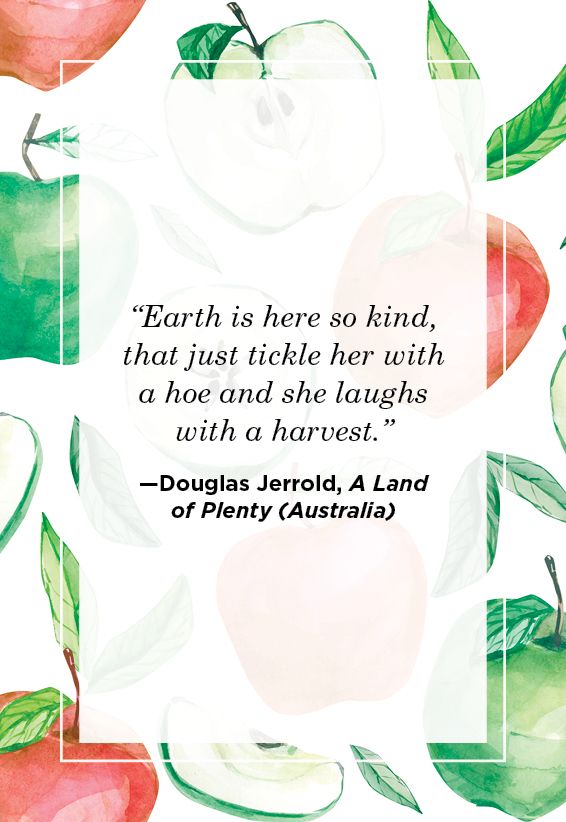 Farm Quotes Douglas Jerrold