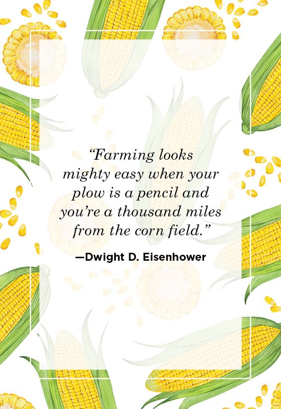 Farm Quotes Dwight D. Eisenhower