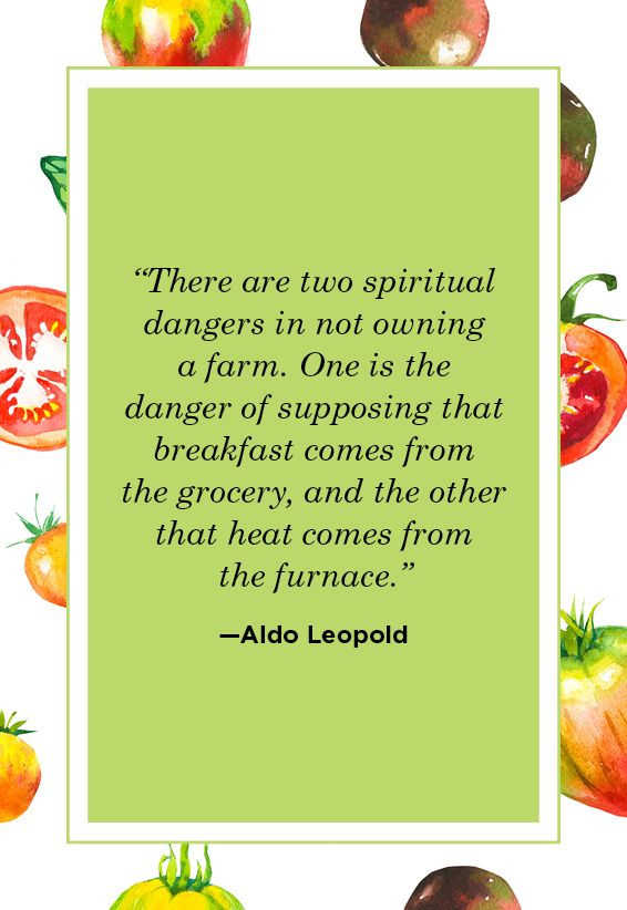 Farm Quotes Aldo Leopold