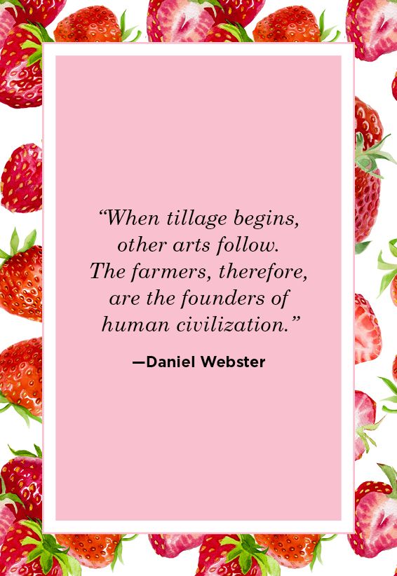 Farm Quotes Daniel Webster