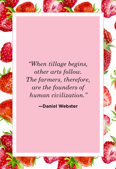 20 Best Farm Quotes - Farm Quotes for Instagram