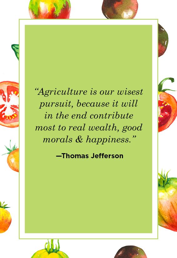 Farm Quotes Thomas Jefferson