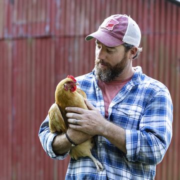 farmer holding chicken in front of red barn