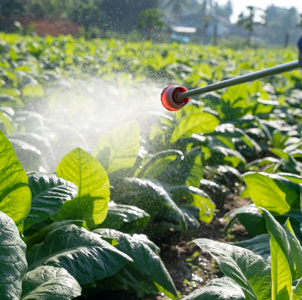 a farmer is spraying chemicals