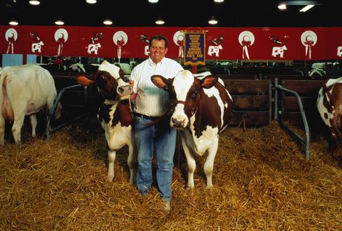 farmer standing with prize winning cows, kentucky, usa