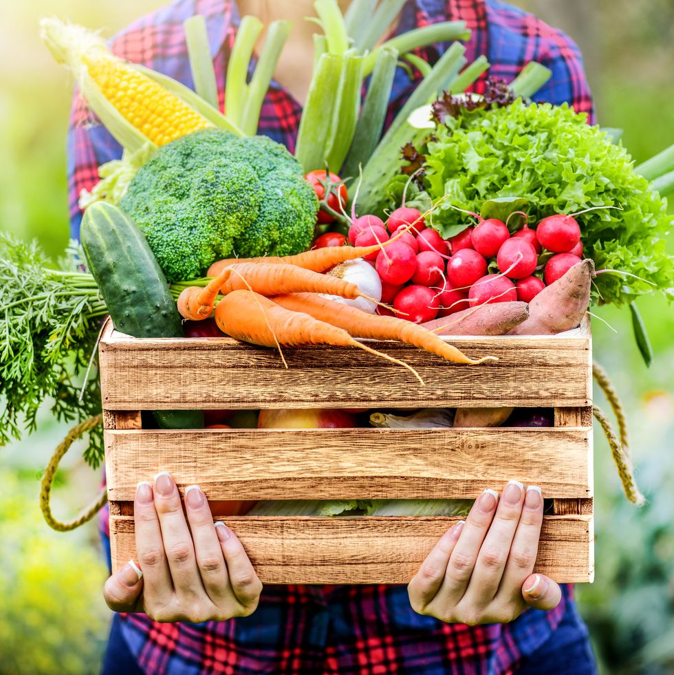 farmer woman holding wooden box full of fresh raw vegetables