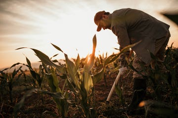 man working in the field