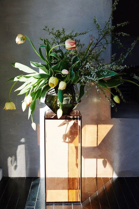 Vase, Houseplant, Flower, Plant, Flowerpot, Floral design, Floristry, Ikebana, Flower Arranging, Tree, 