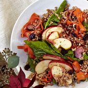 vegetarian thanksgiving recipes farro, apple, and carrot salad