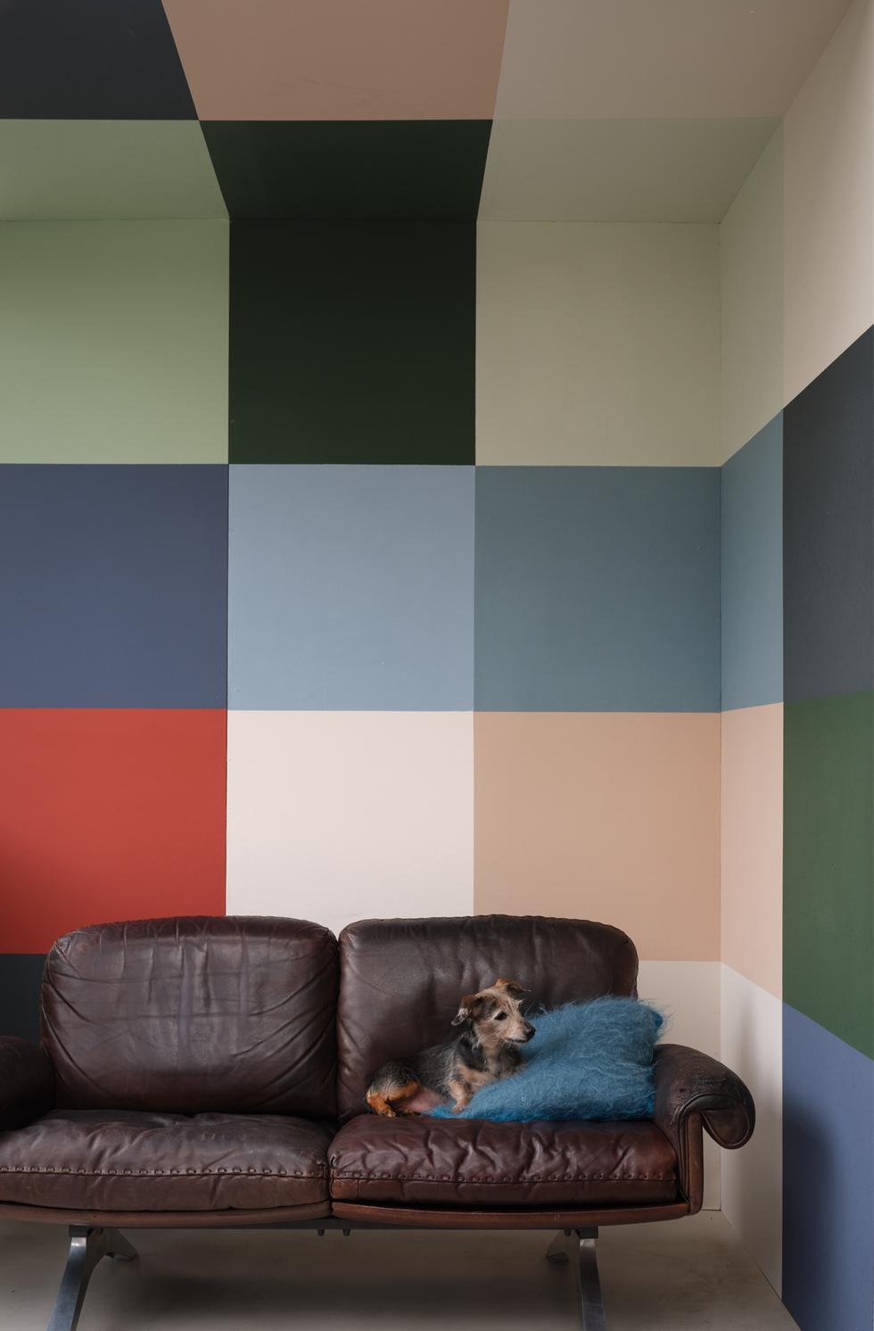 farrow and ball new colours