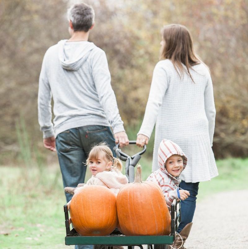 halloween trivia parents holding the handle of a wagon with their two kids and pumpkins in it
