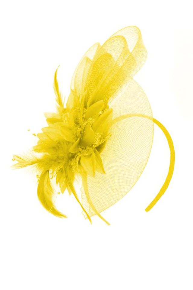Yellow, Feather, Flower, Petal, Plant, Fashion accessory, Hair accessory, Headband, Costume accessory, mayweed, 