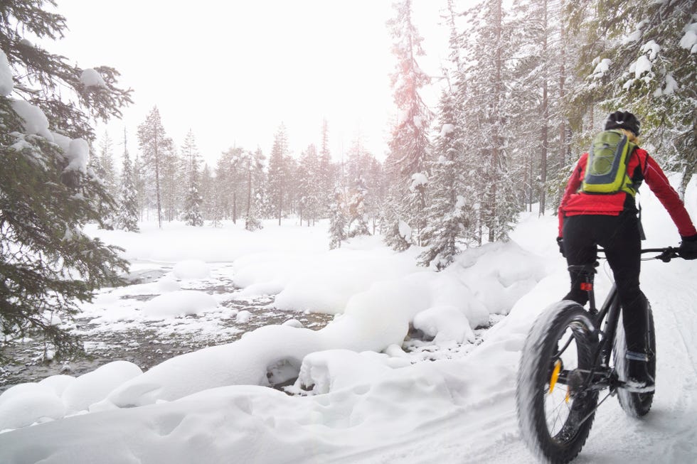 fat biking in the winter forests and fells