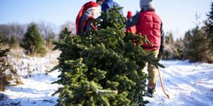 fathe rand children picking out real christmas tree in snow