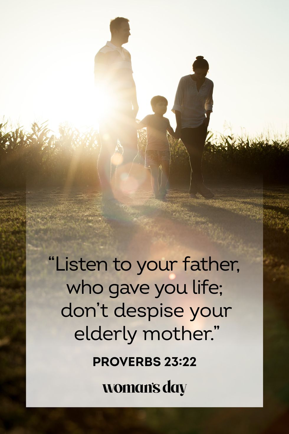 fathers day bible verses proverbs 23 22