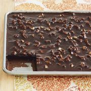 chocolate sheet cake