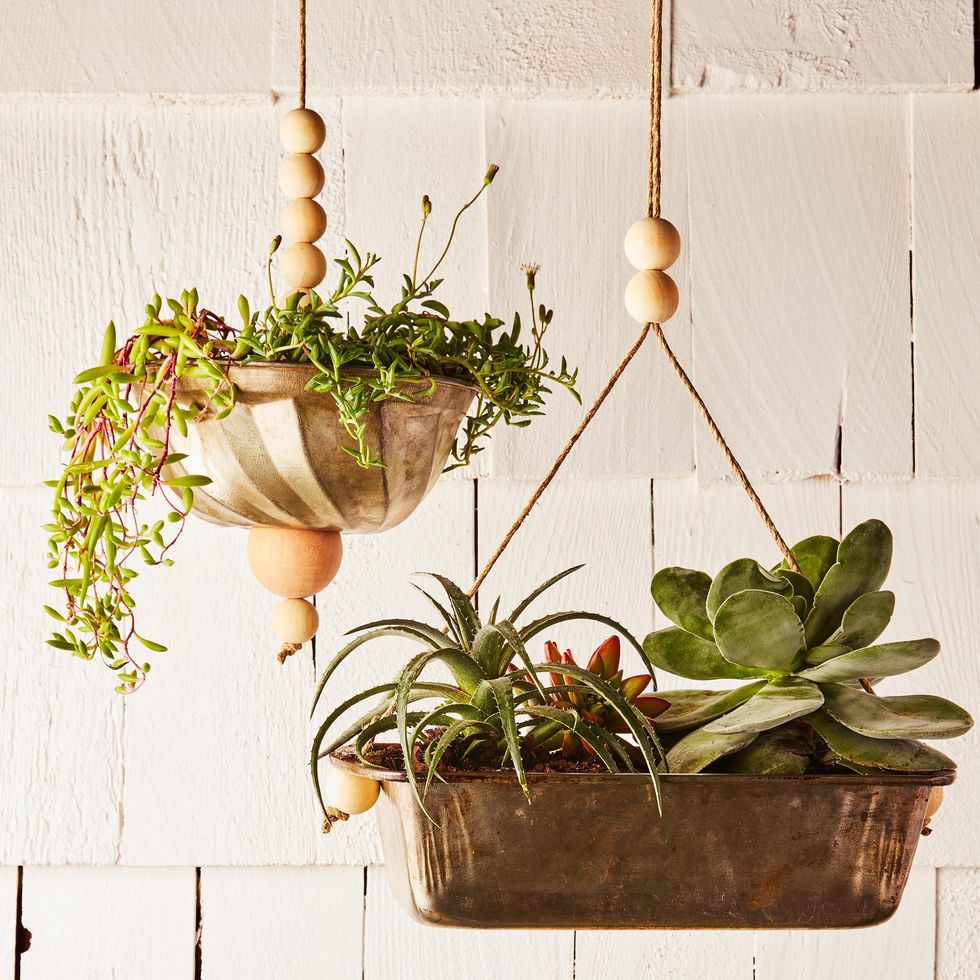 two vintage baking tin hanging planters filled with succulents for father's day