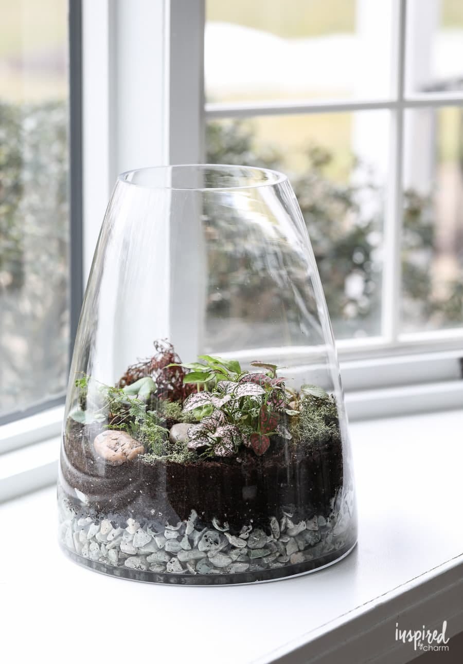 Father's Day homemade terrarium