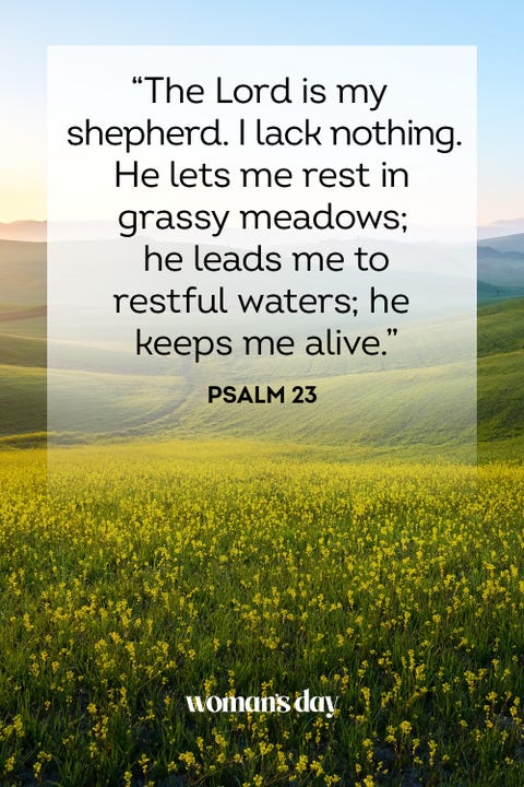 30 Most Popular Bible Verses — Favorite Bible Verses & Scriptures