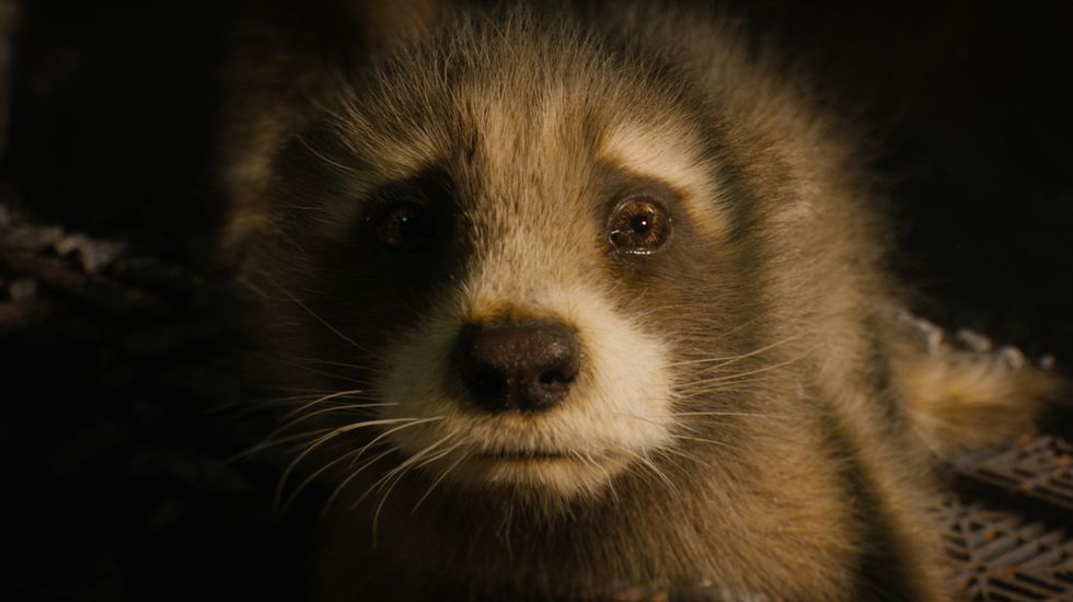 baby rocket voiced by bradley cooper in marvel studios' guardians of the galaxy vol 3 photo courtesy of marvel studios © 2023 marvel