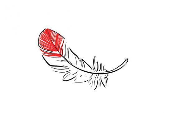 Leaf, Art, Feather, Coquelicot, Line art, Natural material, Drawing, Illustration, Graphics, Artwork, 